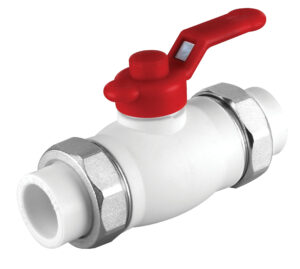 Çift yönlü küresel vana