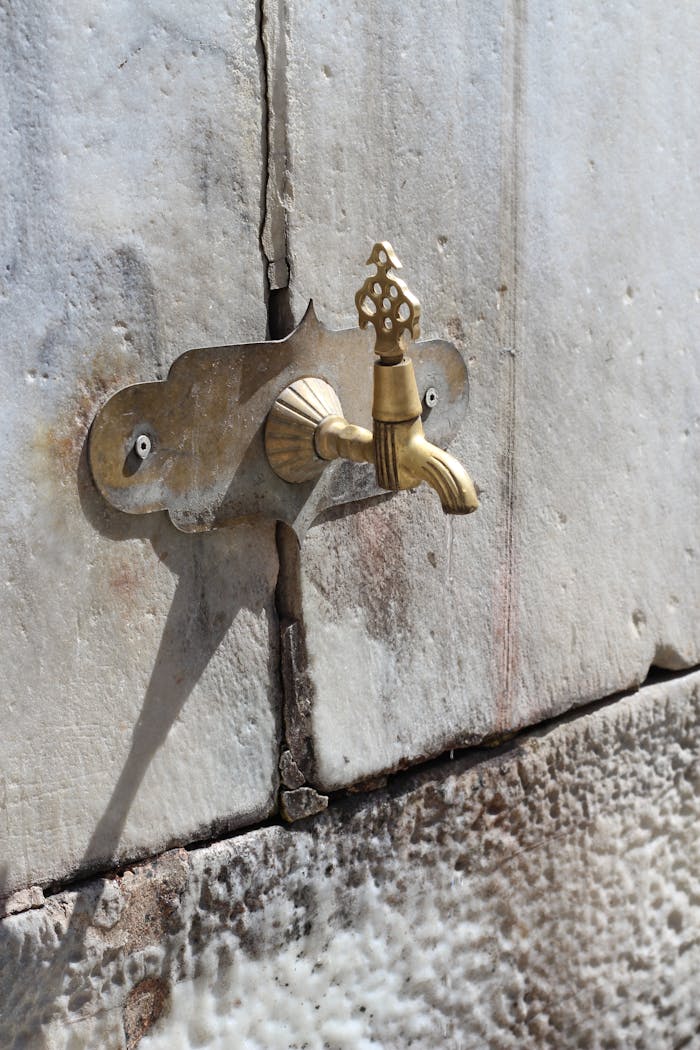 pexels photo 31654843.jpeg